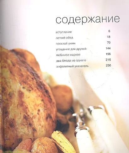 100 блюд из курицы - фото 2
