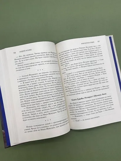 Библиотека судеб. Прошлое не исправить, но будущее ещё можно переписать - фото 11