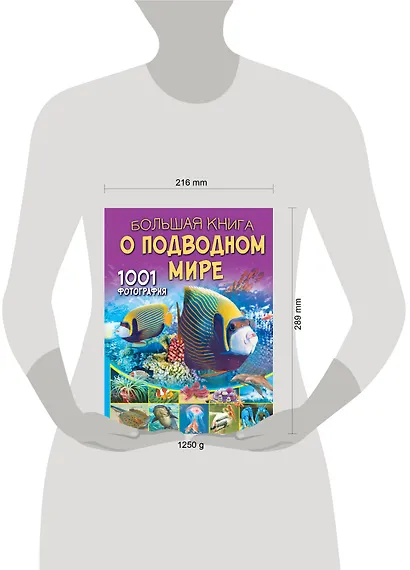 Большая книга о подводном мире. 1001 фотография - фото 6