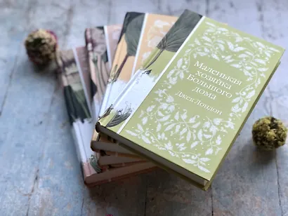 Маленькая хозяйка Большого дома - фото 4