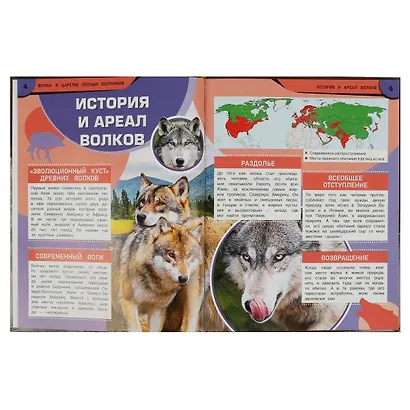 Волки. В царстве лесных охотников - фото 2