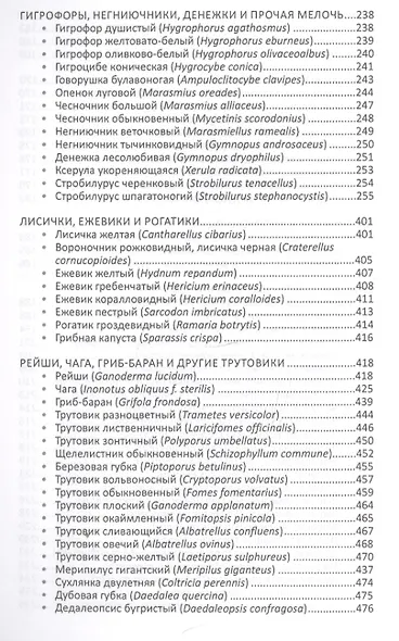 Лекарственные грибы России - фото 5