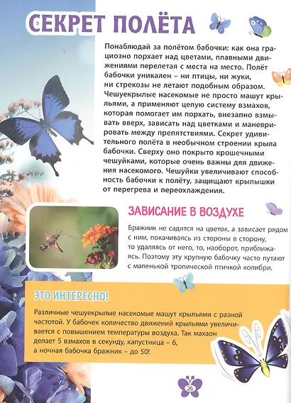 Бабочки. Детская энциклопедия - фото 7