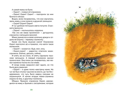 Васюткино озеро. Рассказы - фото 7