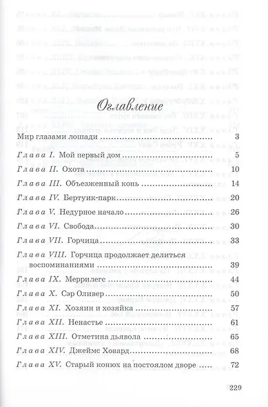Черный красавчик - фото 3