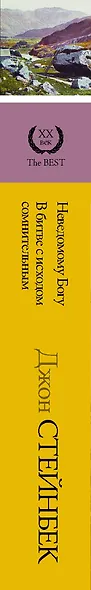 Неведомому Богу. В битве с исходом сомнительным - фото 4