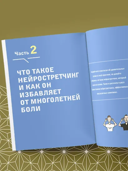 Нейрогимнастика. Новейшая японская методика растяжки нейронов, позволяющая избавиться от любой тянущей или ноющей боли - фото 11