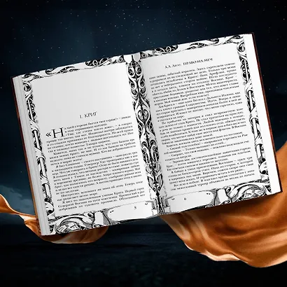 Право на меч - фото 5