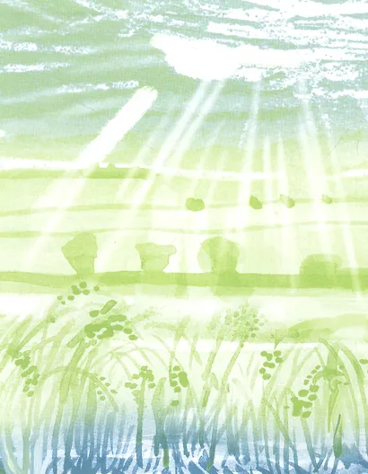 Дедушкины дождики. Маленькая повесть в рассказах про мальчика Витю, его дедушку и про деревню - фото 3