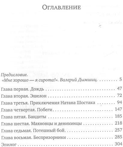 Десять вагонов - фото 2