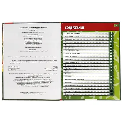 История оружия - фото 2