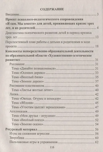 Комплексное планирование в разновозрастной группе детей 2-4 лет. Проект "Я сам - мы вместе". ФГОС ДО - фото 2