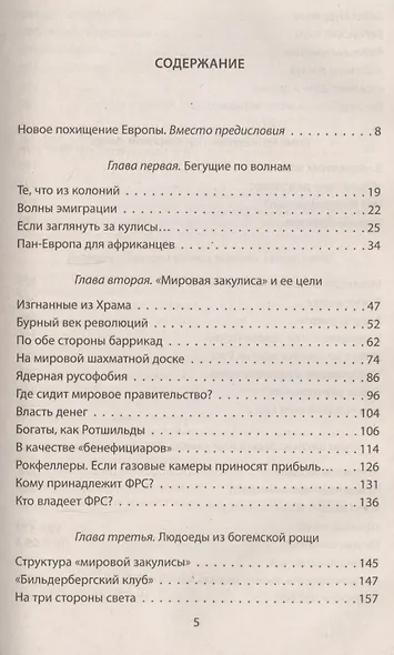 Война цивилизаций. «Всемирный халифат» вместо «тысячелетнего рейха» - фото 2