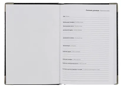 Ежедневник недат. А5 128л "SILVER" черный, иск.кожа 7Б, тв.переплет, мет.уголки, тонир.блок, тисн. фольгой, офсет, ляссе - фото 4