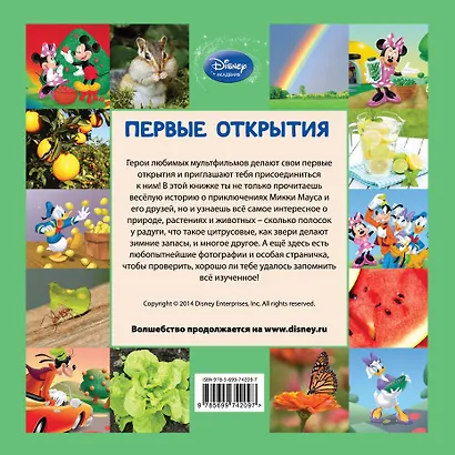 Разноцветный пикник - фото 2