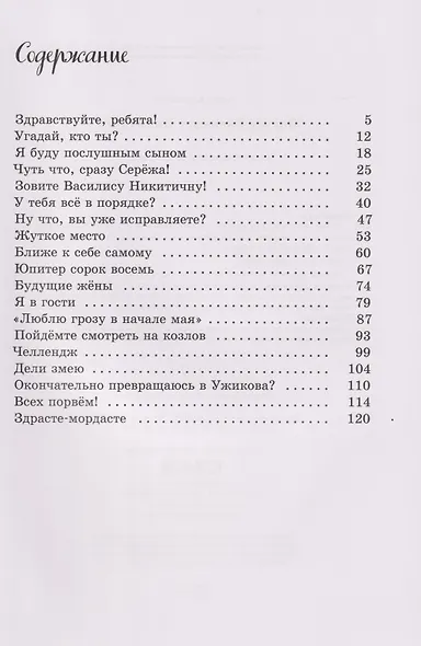 Зовите Василису Никитичну!: фантастическая повесть - фото 4
