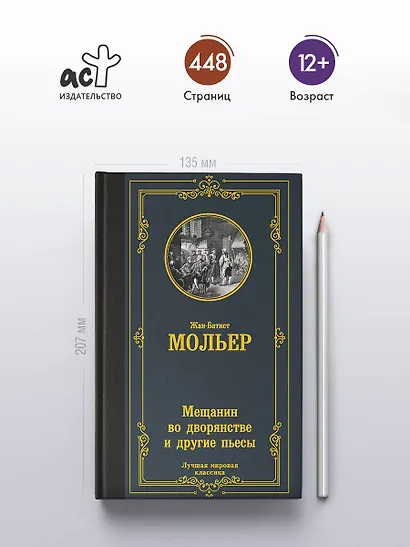 Мещанин во дворянстве и другие пьесы - фото 4