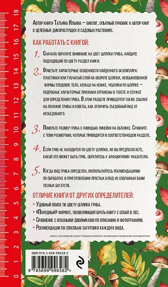 Грибы. Иллюстрированный справочник-определитель - фото 2