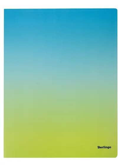 Папка 30ф "Radiece", ассорти - фото 4