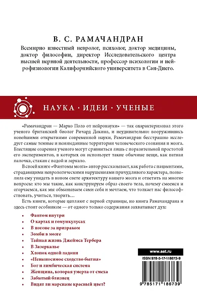 Фантомы мозга - фото 2