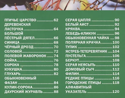 Звери и птицы России.Энциклопедия для детей - фото 3