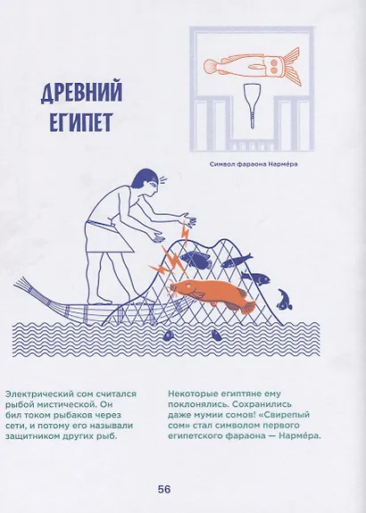 Электрические рыбы - фото 5