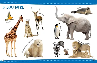 500 первых слов - фото 12