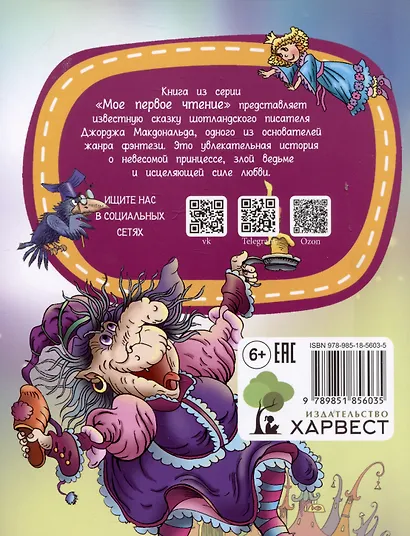 Невесомая принцесса - фото 2