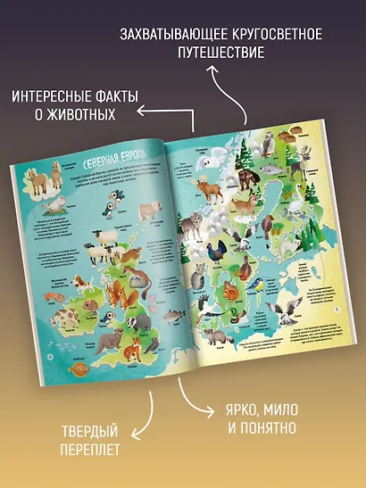 Мир животных в картинках - фото 5