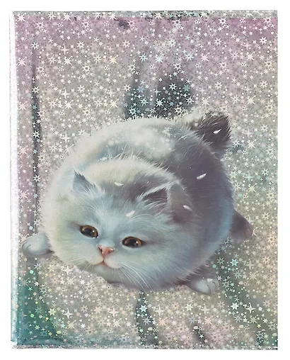 Обложки 03шт д/тетрадей гологр. "ПУХЛЫЕ КОТЫ" 346*215мм, ПВХ 70мкм, три наклейки для персонализации, подвес - фото 4