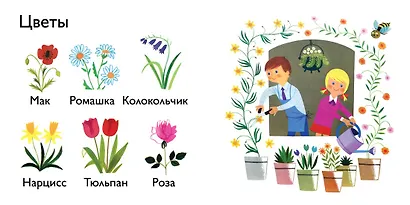 Природа - фото 3