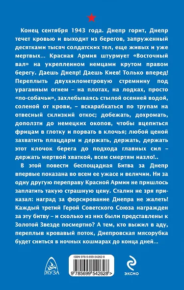 Днепровская мясорубка. Река течет кровью - фото 2