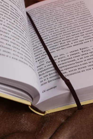 Об ораторском искусстве - фото 6