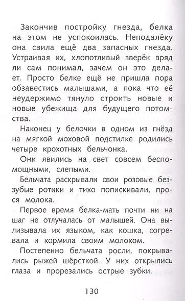 Лесное эхо - фото 4