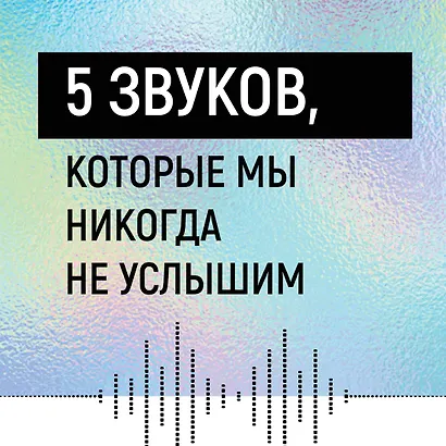 Шум. История человечества. Необыкновенное акустическое путешествие сквозь время и пространство - фото 3