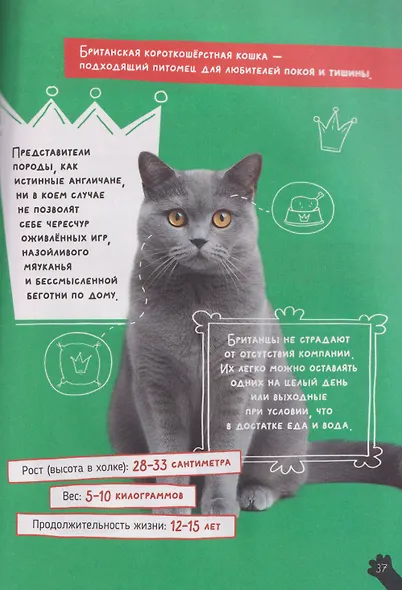 Кошки. Большие секреты маленьких хищников. Энциклопедия для детей - фото 4