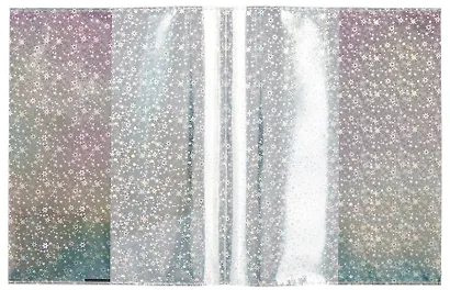 Обложки 03шт д/тетрадей гологр. "ПУХЛЫЕ КОТЫ" 346*215мм, ПВХ 70мкм, три наклейки для персонализации, подвес - фото 5