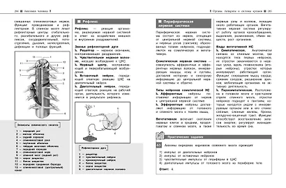 Биология. Наглядный справочник для подготовки к ОГЭ и ЕГЭ - фото 12