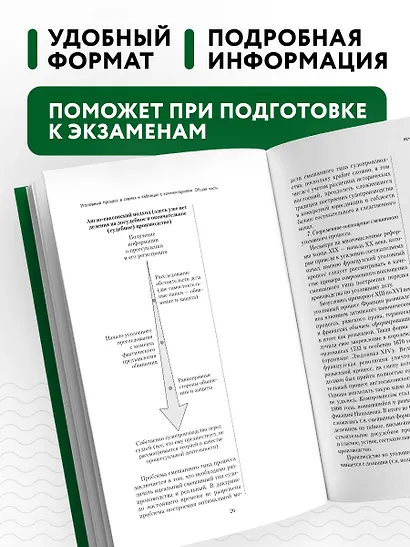 Уголовный процесс в схемах и таблицах с комментариями. Общая часть. Учебное пособие - фото 5
