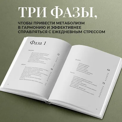 Перезагрузка. Рецепты и рекомендации. Руководство к действию - фото 5