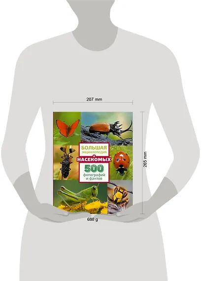 Большая энциклопедия о насекомых. 500 фотографий и фактов - фото 11