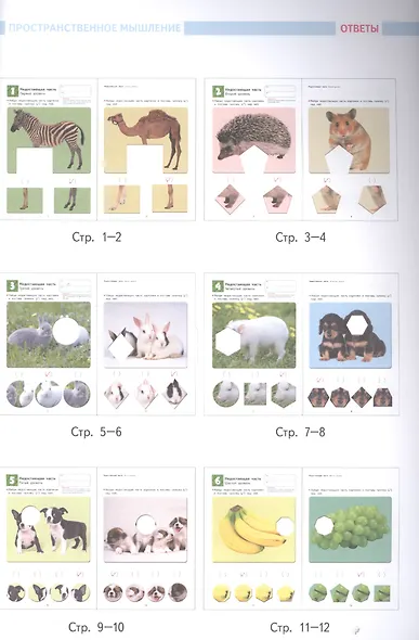 Развитие мышления. Пространственное мышление (от 5 лет) - фото 9