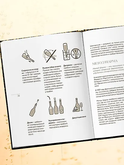 Игристое. От просекко и кавы до шампанского. История, регионы, выбор - фото 10