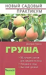 Груша - фото 1