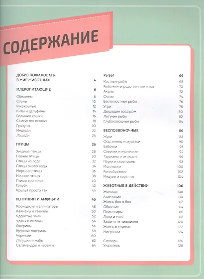 Животные - фото 2