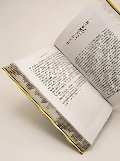 Вчерашний мир. Воспоминания европейца - фото 14