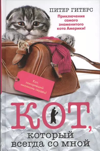 Кот, который всегда со мной - фото 1