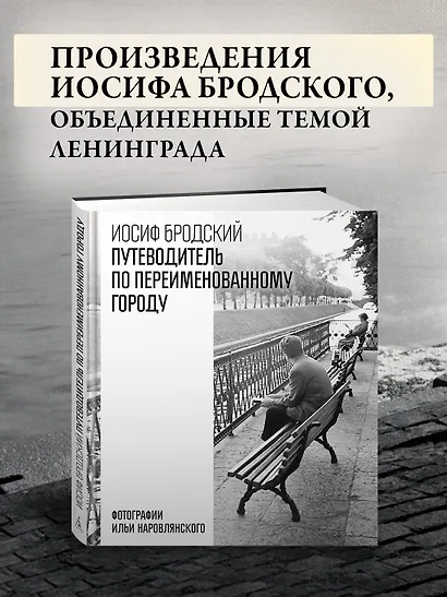 Путеводитель по переименованному городу - фото 4