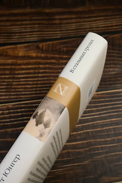 В стальных грозах - фото 6