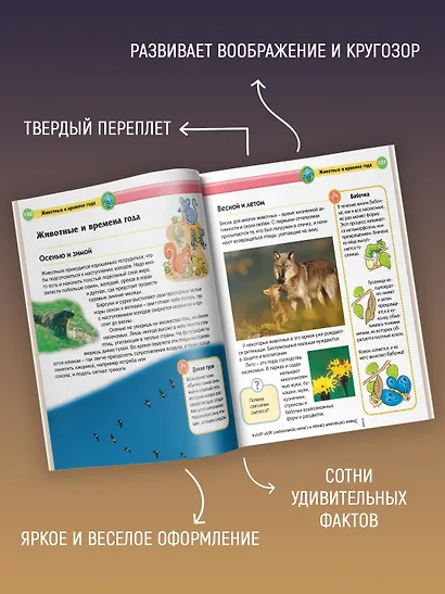 Современная детская энциклопедия - фото 3